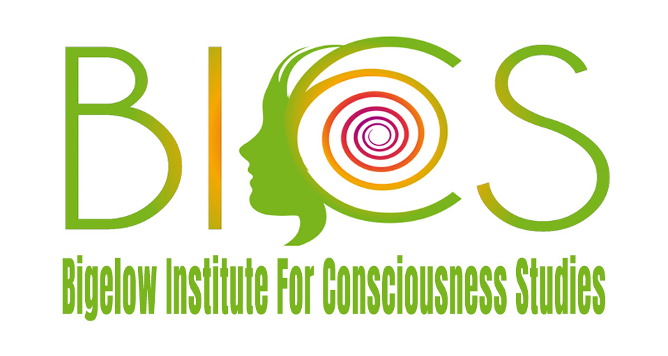 All 29 Winning BICS Consciousness Survives Essays