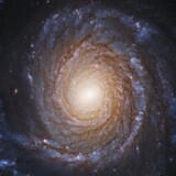 The graceful, winding arms of the majestic spiral galaxy NGC 3147 appear like a grand spiral staircase sweeping through space in this Hubble Space Telescope image. They are actually long lanes of young blue stars, pinkish nebulas, and dust in silhouette.The beauty of the galaxy belies the fact that at its very center is a malnourished black hole surrounded by a thin, compact disk of stars, gas, and dust that have been caught up in a gravitational maelstrom. The black hole's gravity is so intense that anything that ventures near it gets swept up in the disk.The disk is so deeply embedded in the black hole's intense gravitational field that the light from the gas disk is modified, according to Einstein's theories of relativity, giving astronomers a unique peek at the dynamic processes close to a black hole.NGC 3147 is located 130 million light-years away in the northern circumpolar constellation Draco the Dragon.